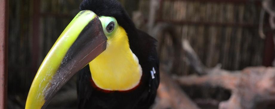 Experience Costa Rica!